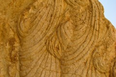 Palmyra-34-2