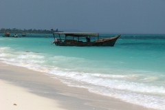 Picture_005