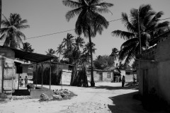 Picture_113-2