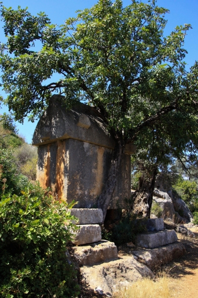Simena-18