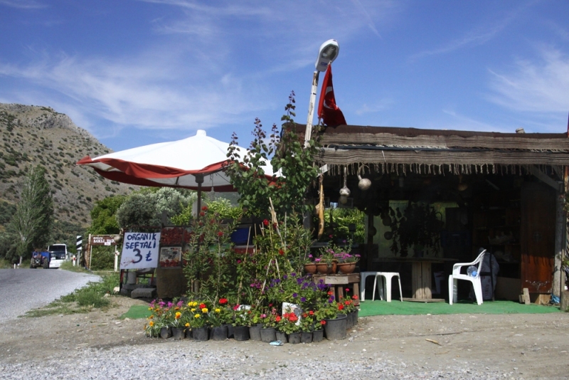near-Şirince-and-Ephesus-4