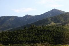 Alaçatı-to-Şirince-2