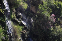 Ölüdeniz-23