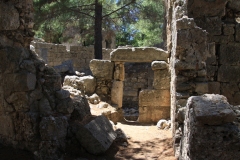 Phaselis-2