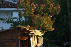 Şirince-30