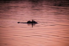 IMG_5170-2