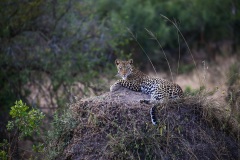 IMG_7166-2