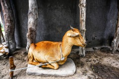 IMG_7395-2-3