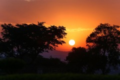 IMG_8195-2