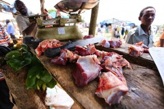 IMG_8339-2