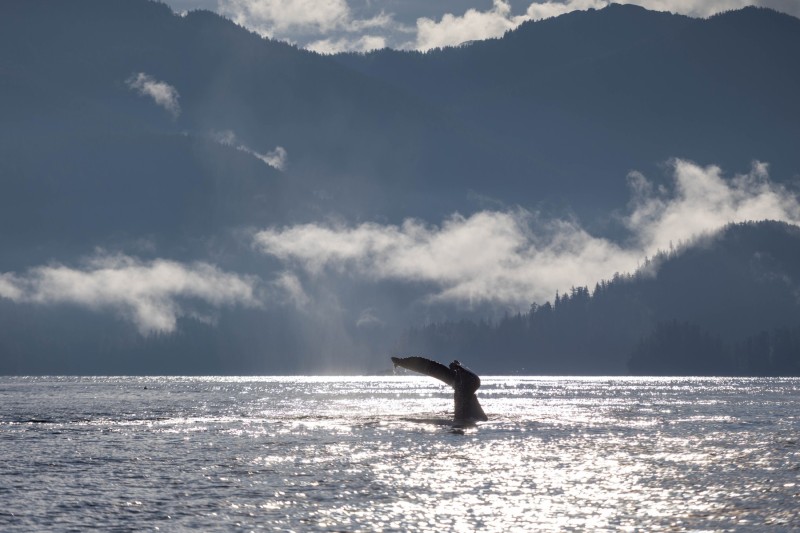 IMG_4769-2