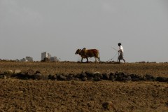 Haraz-Mountains-North-50-2