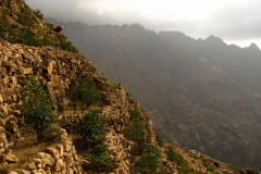 Jabal-Bura-Tihama-West-7-2